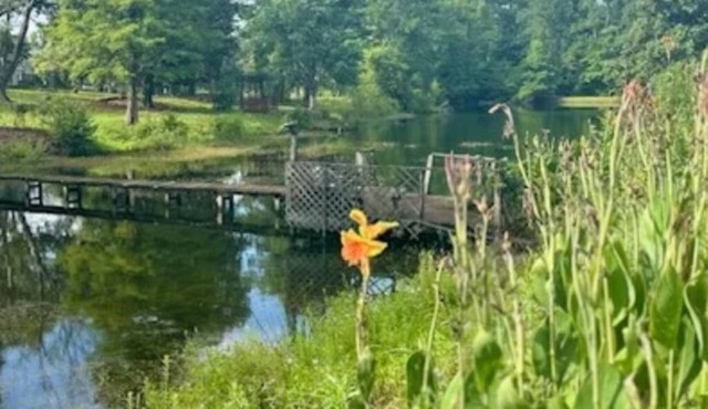 Pond-front Retreat Near CCU, Golf, Downtown Conway, and Beaches