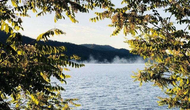 Ponderosa Cabin - 6 Bed/2 Bath