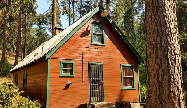 Ponderosa Cabin ~ rustic comfort + WiFi by Sequoia & Kings Canyon National Parks