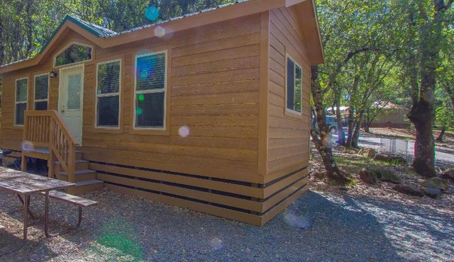 Ponderosa Camping Resort One-Bedroom Cabin 4
