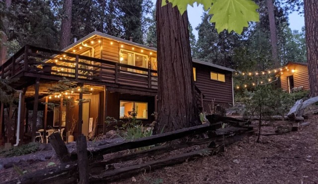 Ponderosa Paradise, Bonus Studio, Arcade Cabin, Walk To Town, Entire Cabin