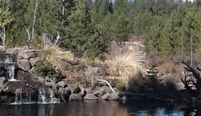 Ponderosa Paradise with a million dollar view