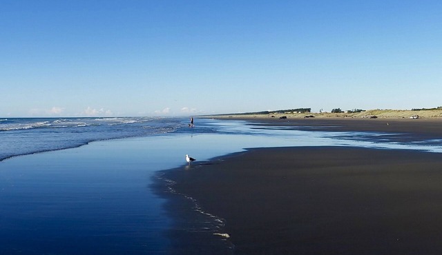 Ponderosa - Waitarere Beach Bach