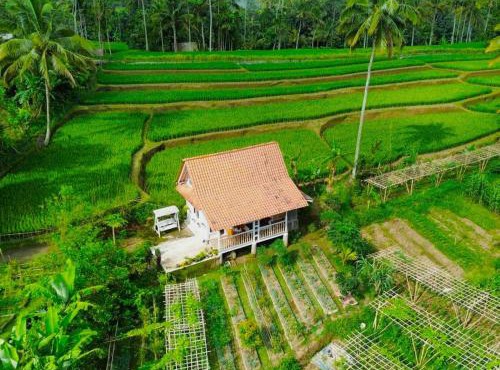 Pondok Is Oke Family Room - 2 Bedroom Ricefild view