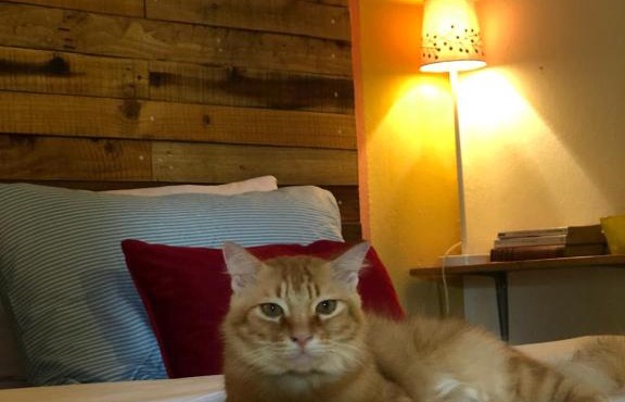 Pondok Keladi Langkawi Guesthouse