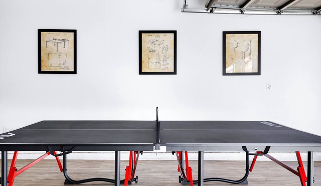 Pong - A Birdy Vacation Rental