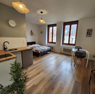 Pontarlier Centre Historique 2nd - Ma Petite Résa