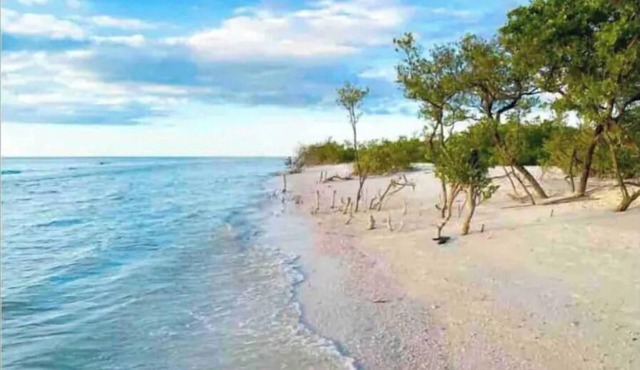 *Pool* 8.5 miles to Honeymoon Island. 4 bdr