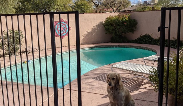 Pool AC Near UofA and hospital. Quiet, historical neighborhood. Upgraded