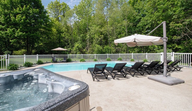 Pool, Hot Tub & Screened Porch w/Fireplace Overlooking Wooded Ravine