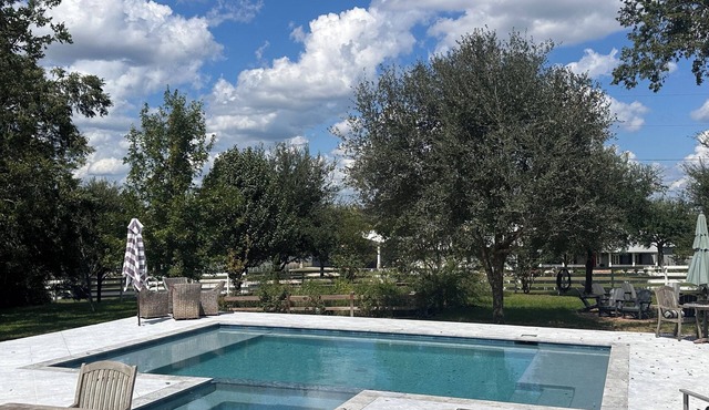 POOL JUST ADDED & Now Ready! Charming Cottage on Acreage Lot,In Historic Town