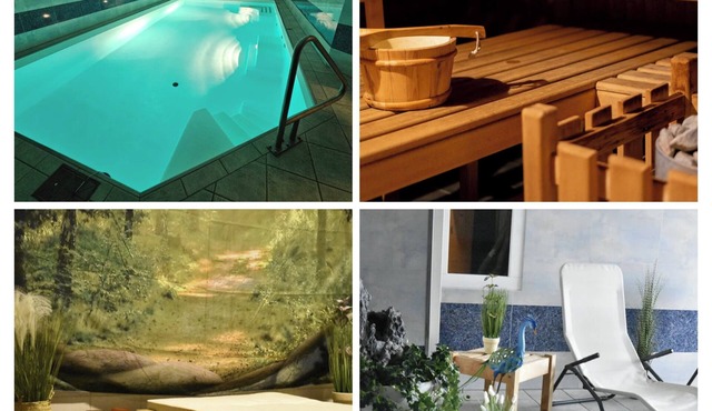 Pool + sauna Cozy Swiss Chalet Style in Salouf