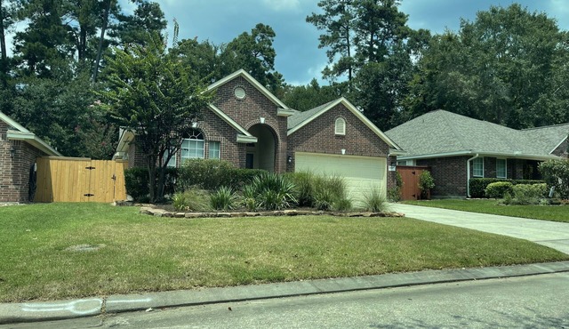 Pool & spa in The Woodlands. Available early April!