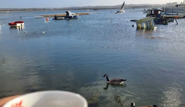 Poole, Holes Bay Harbour Nature Reserve - 'Right' next to the water :-) Sleeps 3