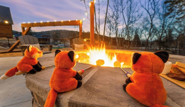 Poolside+Firepit+Hot Tub+Slides+Hidden Arcade