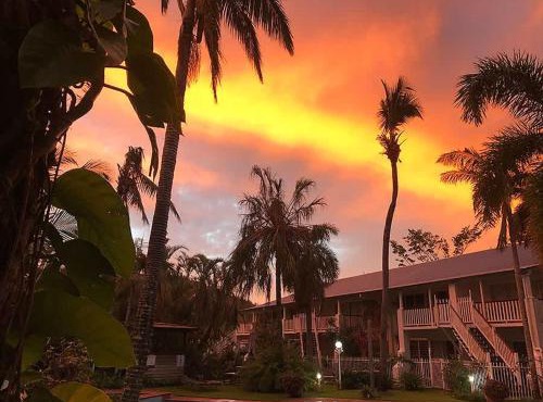 Poolside Mango House