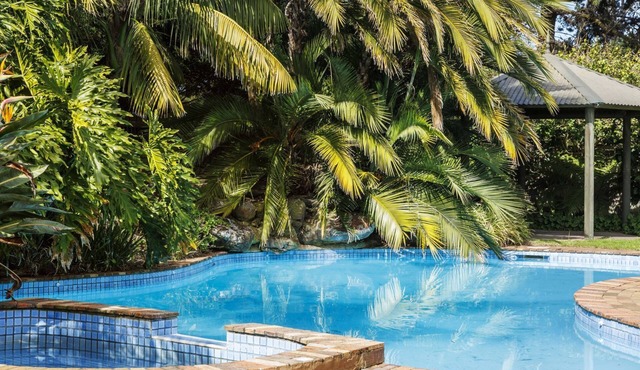 Poolside Palms Oasis