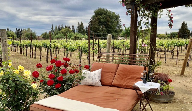 Poolside Suite with a private rose garden next to the vineyard and private entry