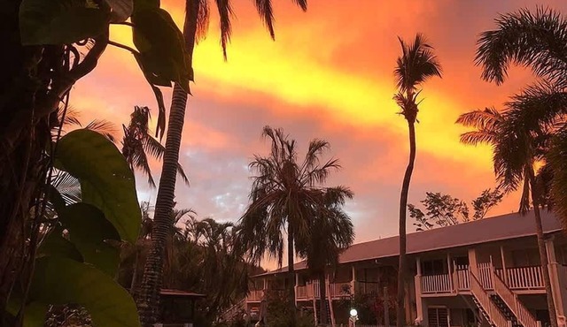 Poolside Whitsundays Apartment with Garden View