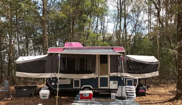 Pop up camp with Little Lulu!