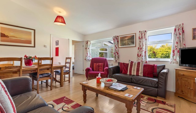 Poppy at Gorslwyd - Sound Retreat