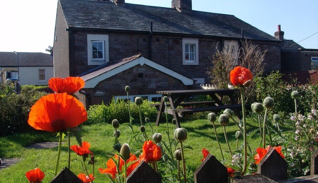 Poppy Cottage, Cosy 19th Centry traditional cottage, 5 miles from Bassenthwaite