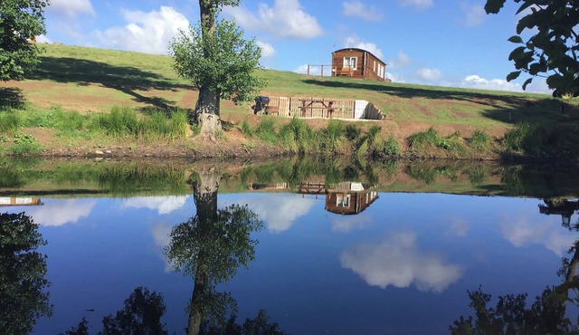 POPPY, with a garden in Raglan