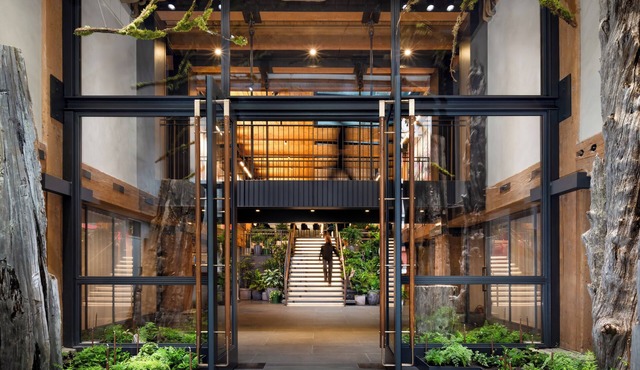 Populus Seattle