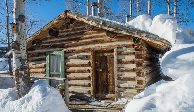 Porcupine Cabin - A Classy-Rustic Gem