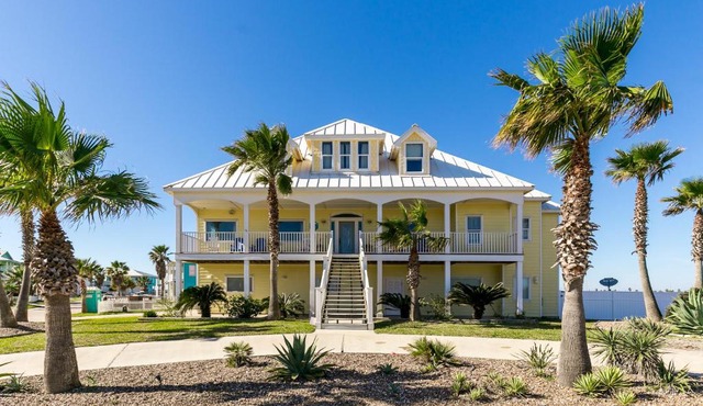 Porpoise of Life RS328 Home