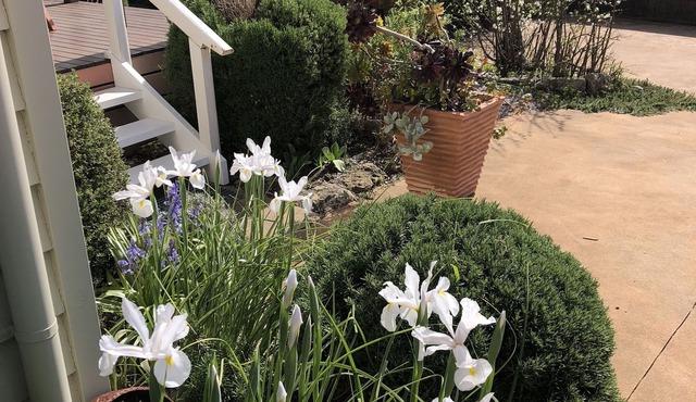 Port Campbell Guesthouse & Flash Packers