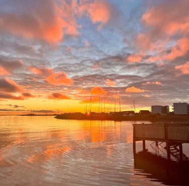Port Side room for rent near beach and harbor