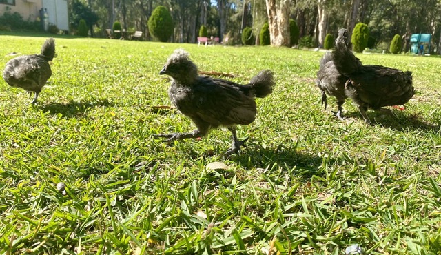 Port Stephens Family Holiday