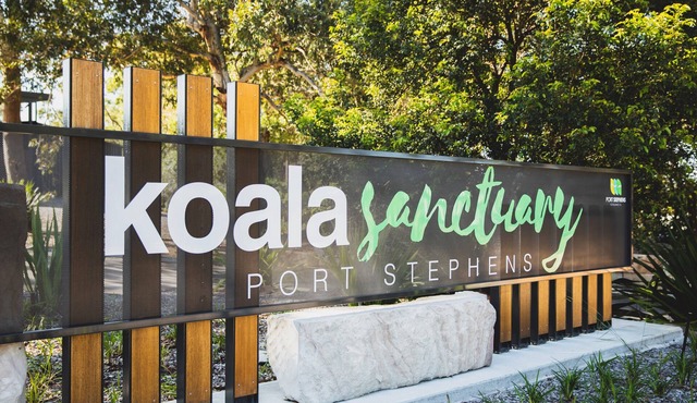 Port Stephens Koala Sanctuary