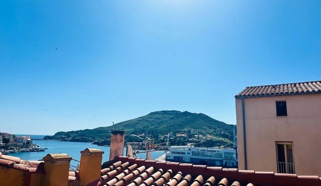 Port-Vendres: 3-bedroom duplex, air-conditioned, near the port