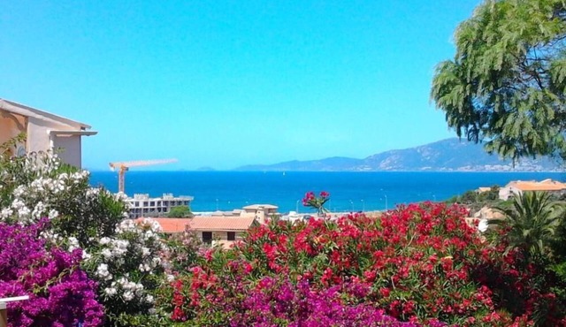 Porticcio: Apartment/flat - Porticcio