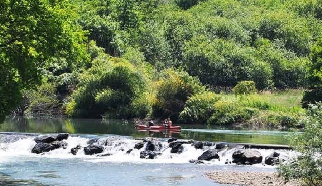Portugaina - Ustaritz