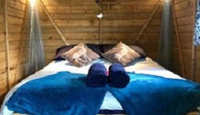 Posh Bedz in Shedz 2