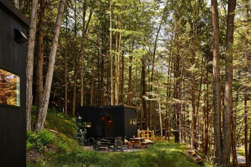 Postcard Cabins Big Bear, Outdoor Collection by Marriott Bonvoy