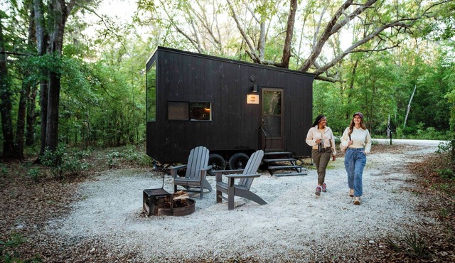Postcard Cabins Dale Hollow, Outdoor Collection by Marriott Bonvoy