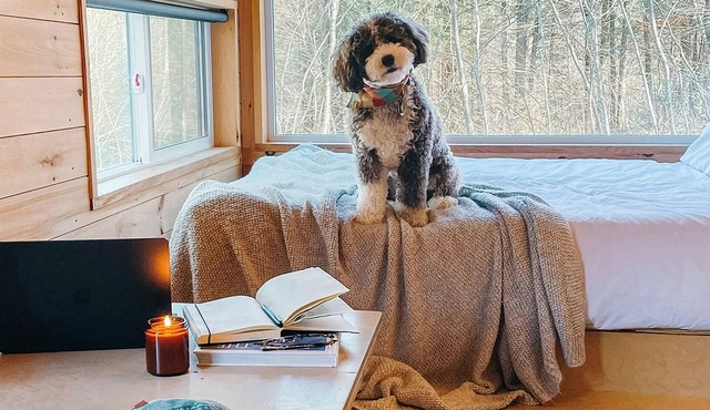 Postcard Cabins Big Bear, Outdoor Collection by Marriott Bonvoy