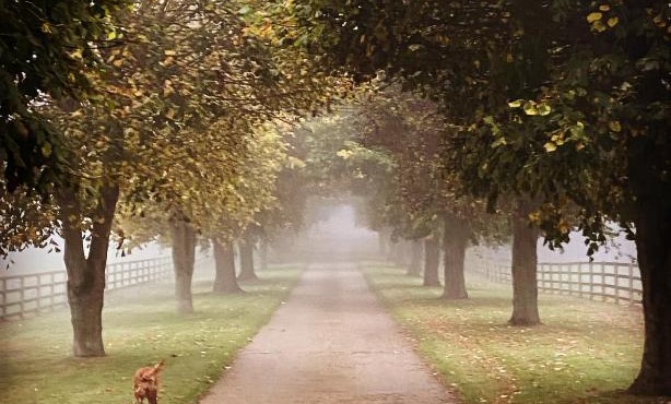 Potcote farm stables accommodation fudges stable