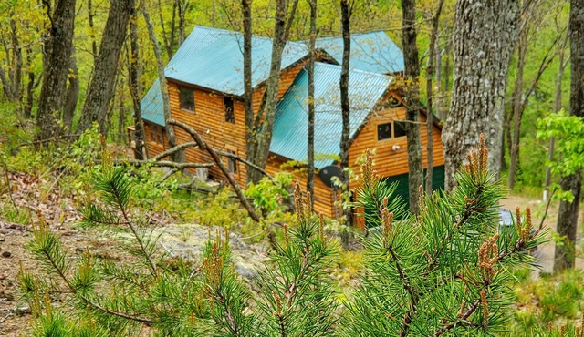 Potomac Cabin: Riverfront, 7 acres, sleeps 14, hot tub, Starlink