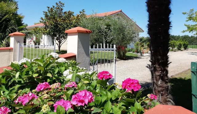 Pourquoi Pas - Bats - Gîte