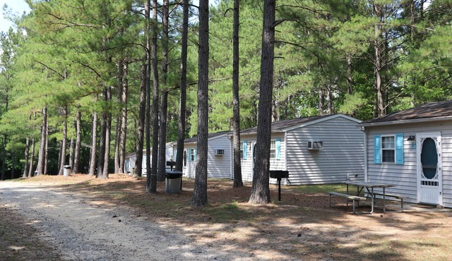 Pr Cabin at Lake Gaston~Memories Start Here