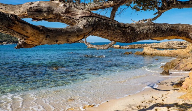 Practical studio apartment with a beautiful view of the mountains.