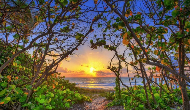 Practically on the beach; short walk across Carlin Park to the sand! ❤️💛💚