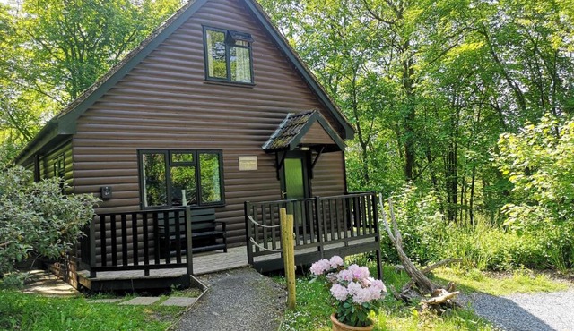 PrancingHare Lodge-Woodland Lodges-Pembrokshire