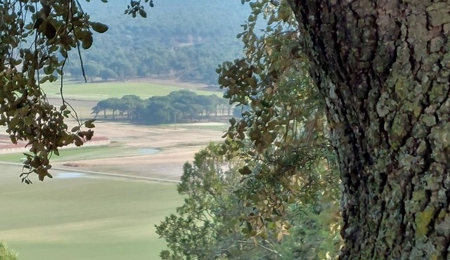 Preciosa, Tranquila y Amplia Casa en Tierra de Pinares con Piscina Privada