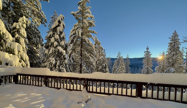 Preferred Parking Pass to Dodge Ridge